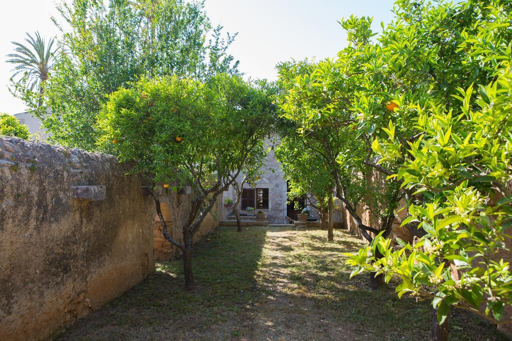 Agroturismo Es Pla De Llodra Manacor  Oda fotoğraf